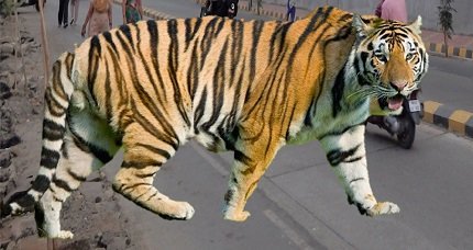 Bhavyashri News | Hindi Poem Klesh | क्लेश कविता | Manisha Noopur Hindi Poem Klesh